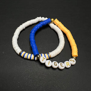 Tigers (Blue/Gold) Color Block